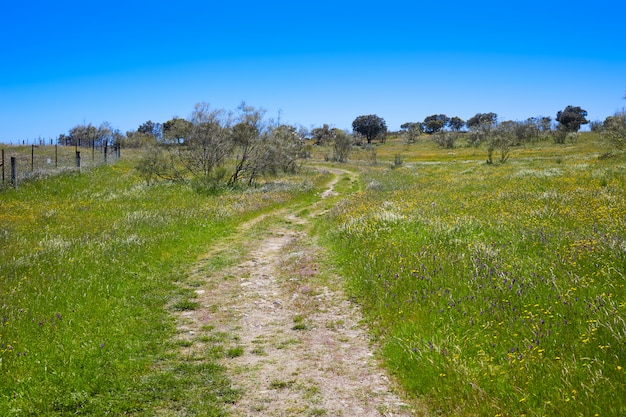 Via de la Plata way in Extremadura Spain