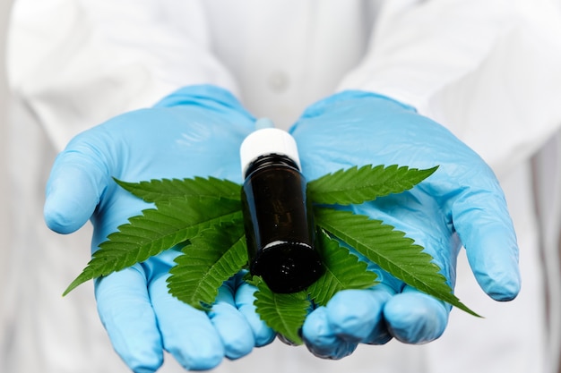 Vial with CBD hemp oil and cannabis leaf in doctor hands in rubber blue gloves and white lab coat. Alternative medicine or pharmacy product concept. Medical marijuana plant