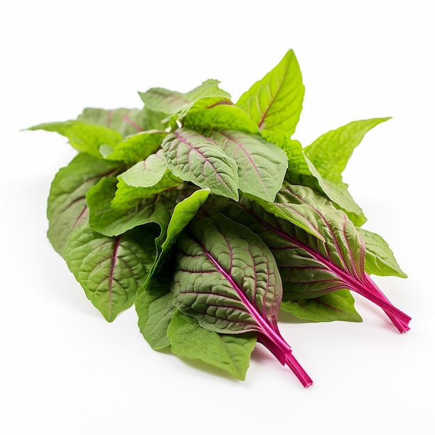 Vibrant Amaranth Leaves Touch of Green on White Background