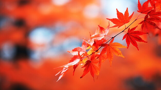 Vibrant autumn foliage adorning building facade generative ai enhanced stock image