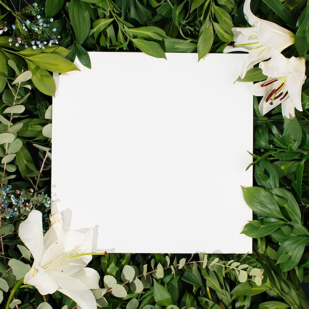 Vibrant background made of white blooms and green leaves with square white paper card note Flat lay Nature concept