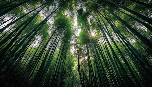 Vibrant bamboo grove thrives in lush forest generated by AI