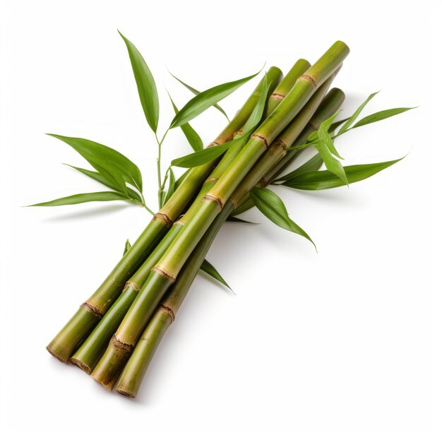 Vibrant Bamboo Sticks A Burst Of Youthful Energy On White Background