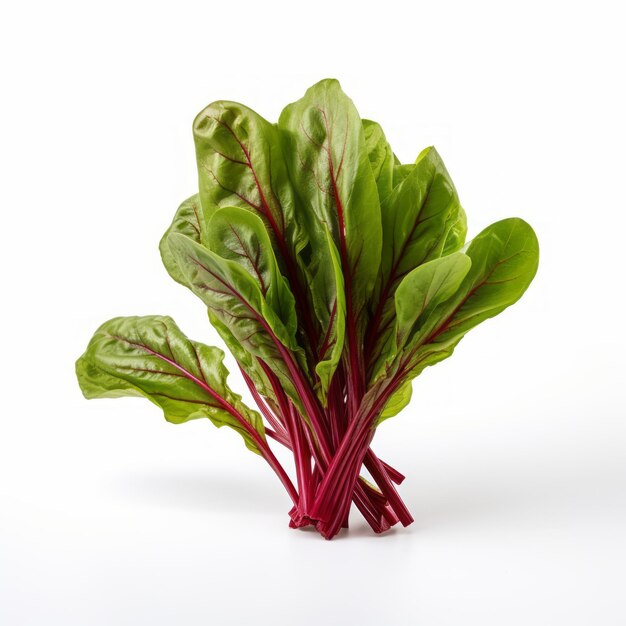 Vibrant Beet Greens With Leaves Isolated On White Background