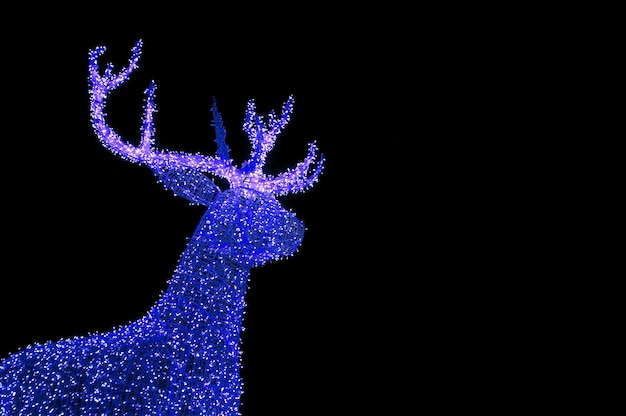 Vibrant Blue Illuminated Christmas Reindeer Shaped Outdoor Decoration Lights on Dark Background