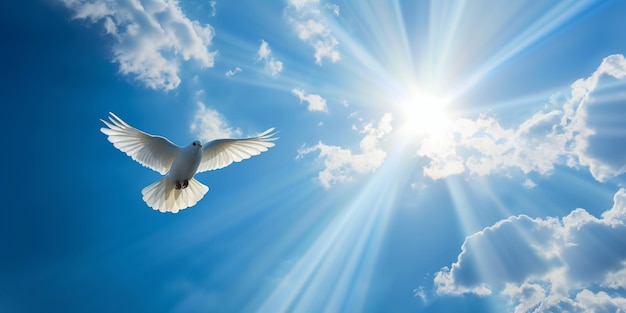 Фото Яркое голубое небо с белым голубем, свободно летящим среди солнечных лучей и облаков.