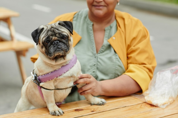 Vibrant close up portrait of cute pug dog in outdoor cafe with senior owner copy space