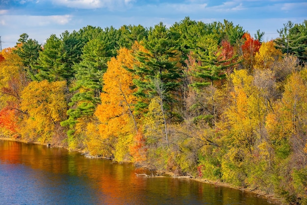 Фото Яркие цвета октября, широкий панорамный вид на красивый безмятежный желто-оранжевый осенний утренний парк с пышными деревьями, отражающимися в речной воде, живописный осенний пейзаж