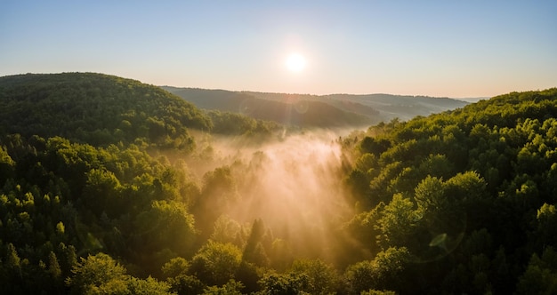 Vibrant foggy evening over dark forest trees at bright summer sunset. Amazingl scenery of wild woodland at dusk.