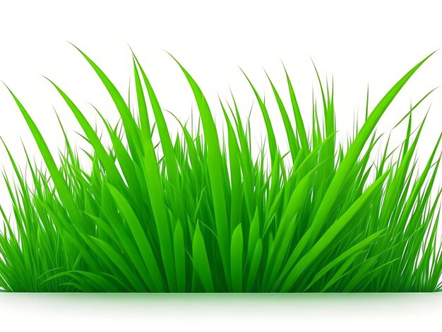 Vibrant Fresh Green Grass on White Background Vector Illustration