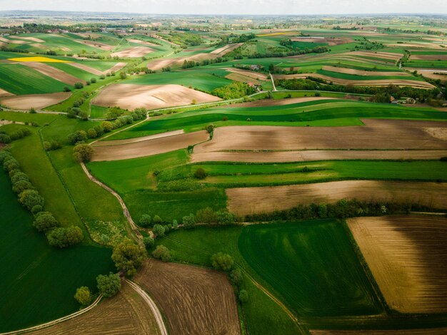 活気に満ちた緑の農地FarmlandDroneビューで育つ新鮮な作物