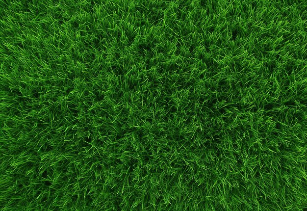Vibrant green grass texture background
