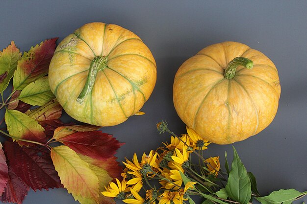 Vibrant Orange Pumpkin Chestnuts Dry Autumn Leaves Scattered on Grey Stone Background Border Frame Thanksgiving Fall Abundance Concept Flat Lay Copy Space