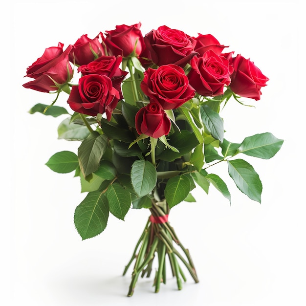 Vibrant Red Roses Bouquet on White Background