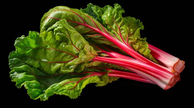 Vibrant Rhubarb beeld op zwarte achtergrond 32k Uhd donkerroze en lichtgroen