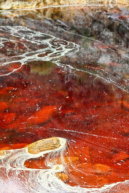 鉄 に 富む 赤い 水 を 持つ 活気 の ある リオ ティント 川