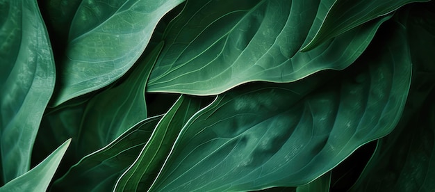Vibrante groene bladstructuur Natuur achtergrond