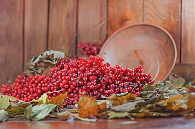 写真 紅葉と木製のテーブルの上のガマズミ属の果実