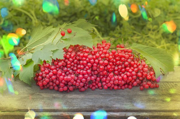 Photo viburnum berries on wooden table with green leaves