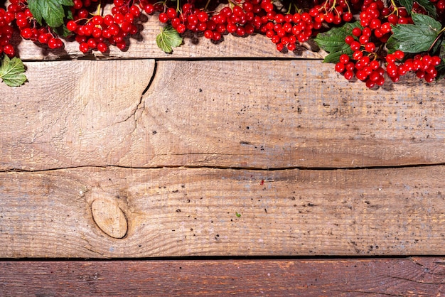 Viburnum on wooden background