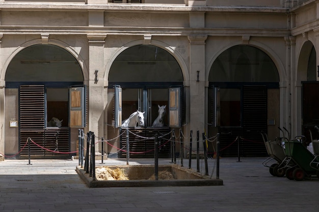 Vienna Austria June 13 2023 Building of the Spanish Riding School in Vienna