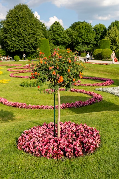 Vienna Austria June 15 2023 Flowerbed on the alley in the Schoenbrunn Palace Park