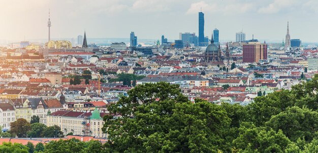 Фото Панорама городского пейзажа вены