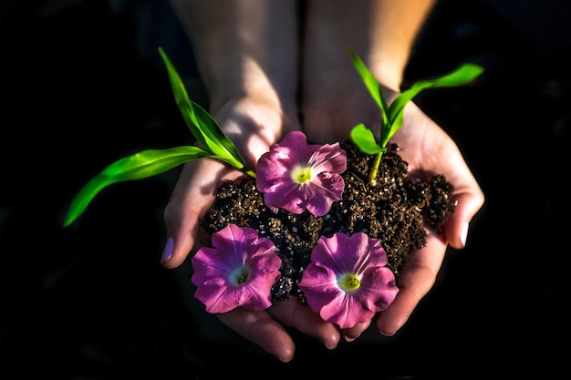 Vier de Dag van de Aarde met duurzaam leven, omarm milieuvriendelijke praktijken voor een groene toekomst.