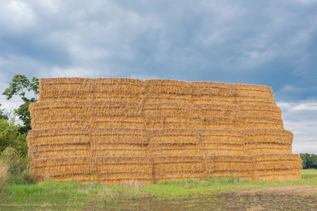 Vierkante balen in het veld, hooi voor de winter, zomerbalen, landbouw