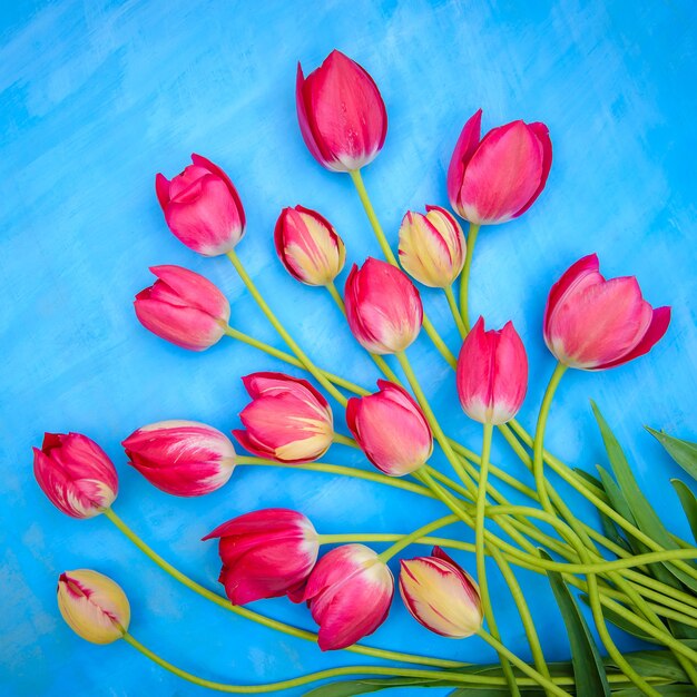 Vierkante lentekaart met knalrode tulpen op een blauwe ondergrond
