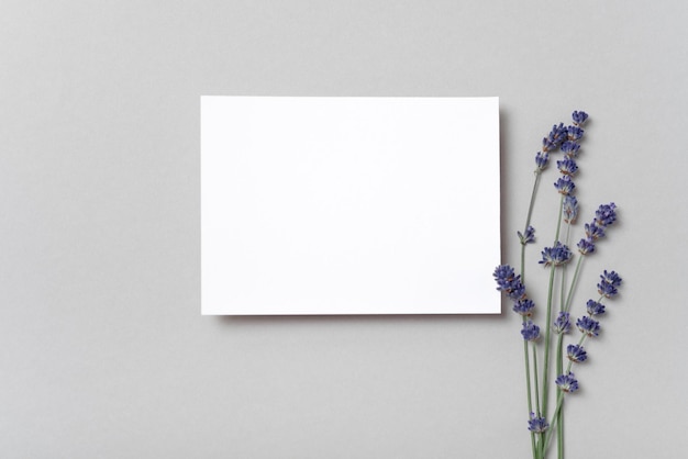 Vierkante uitnodiging witte wenskaart mockup met aa bloemen lavendel tak