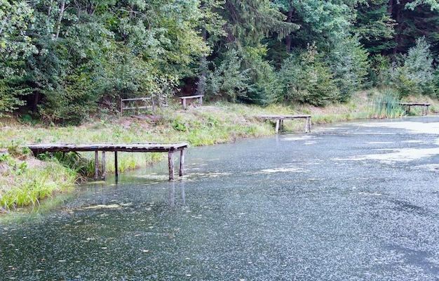 Vies meertje met een houten brug om te vissen.