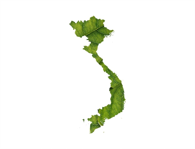 写真 ベトナムの地図白い背景の緑の葉で作られたエコロジーコンセプト
