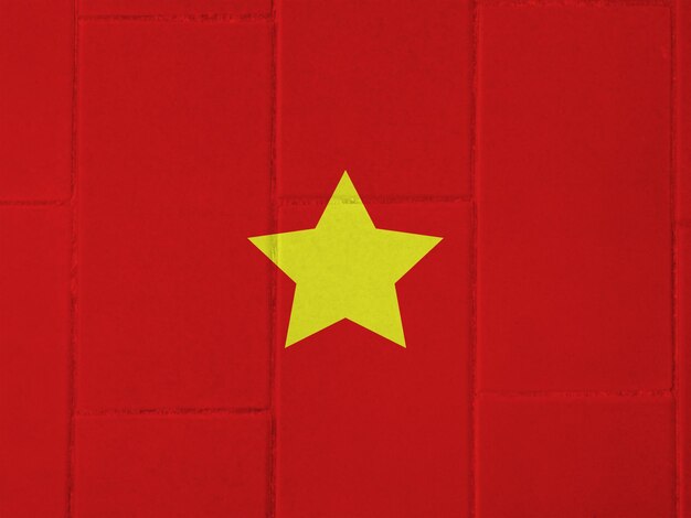 Vietnamese flag