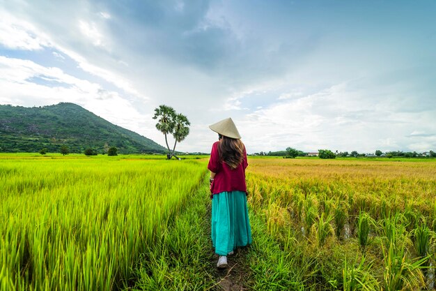 Vietnamese girl in dark red and bottle green traditional\
costume dress with conical hat walking on yellow green rice field\
and two palm trees, ba den mountain, blue sky in background. travel\
concept.