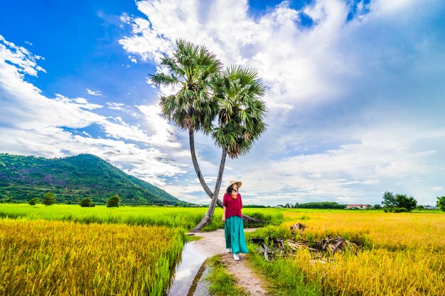 Vietnamese girl in dark red and bottle green traditional
costume dress with conical hat walking on yellow green rice field
and two palm trees, ba den mountain, blue sky in background. travel
concept.