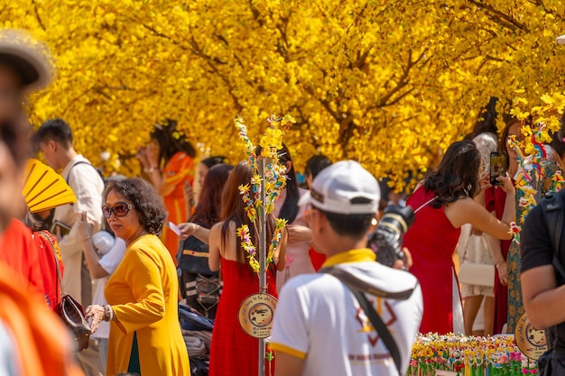 Foto vietnamese maan nieuwjaar mensen dragen vietnamese traditie ao dai om foto's te maken en te genieten op straat met gele bloem abrikoz in tet vakanties
