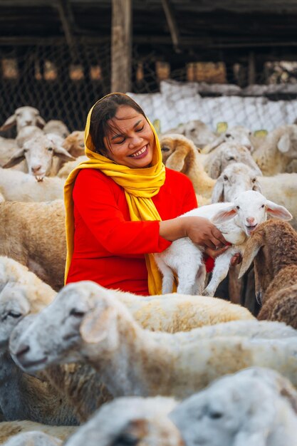 写真 ベトナム人の女性が羊を飼っているベトナムのニントゥアン州の草原地帯の羊飼い場