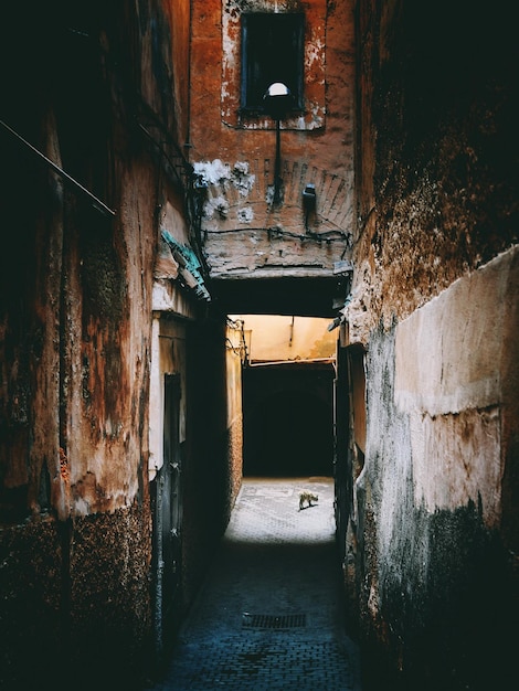 Photo view of abandoned building