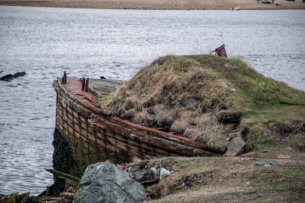 View of an abandoned ship overgrown with moss