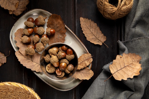 Photo above view acorns still life