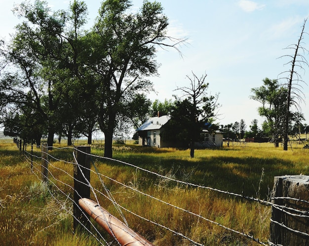 Photo view of agricultural field against clear sky