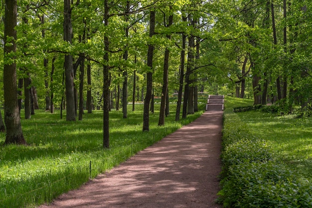 Gatchinsky Park Gatchina Leningrad 지역 러시아의 골목 및 플라워 슬라이드 보기