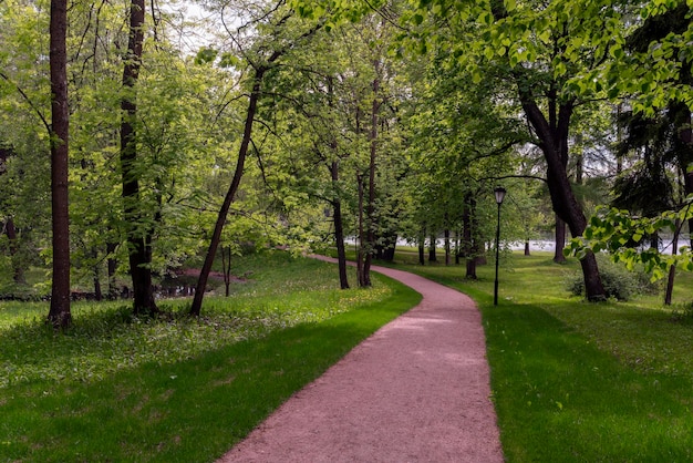 View of the alley in Gatchinsky Park on a sunny summer day Gatchina Leningrad region Russia