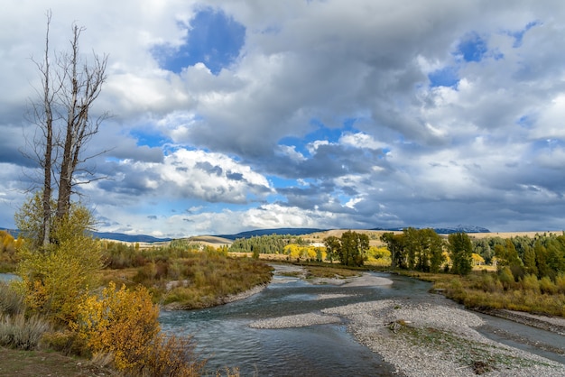 View along the Gros Ventre River