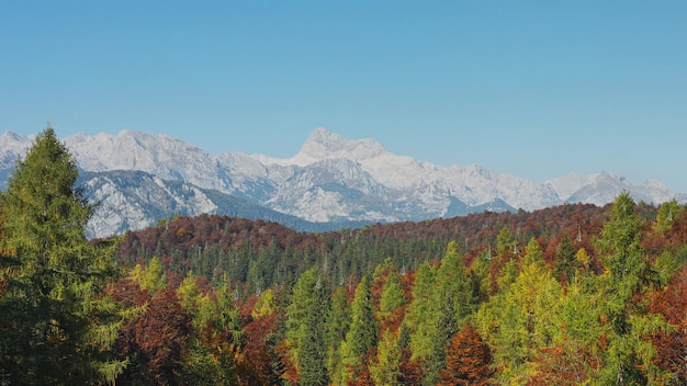 Vista della gamma alpina delle rocce della foresta e della montagna di autunno. 4k footag