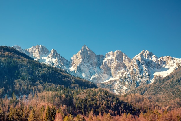 화창한 날 크라니스카 고라(Kranjska Gora)의 알프스(Alps) 전망은 산 정상이 눈 트리글라브(Triglav) 국립공원 슬로베니아 유럽(Slovenia Europe)으로 덮여 있습니다.