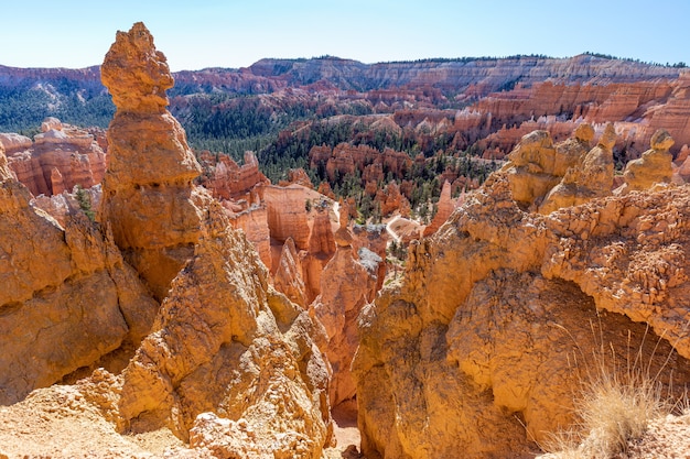 Foto vista di incredibili formazioni di arenaria hoodoos nel pittoresco parco nazionale di bryce canyon. stati uniti d'america