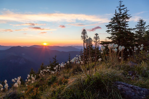 View of American Mountain Landscape during a vibrant and colorful summer sunset