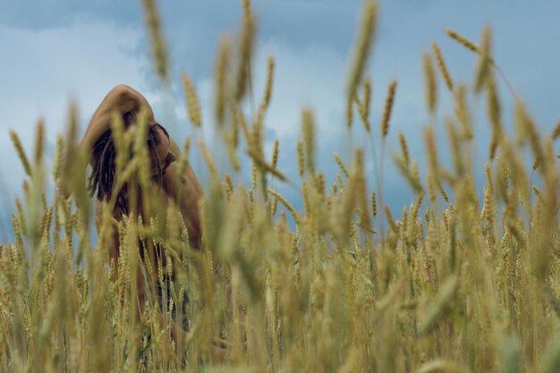 View of an animal on field